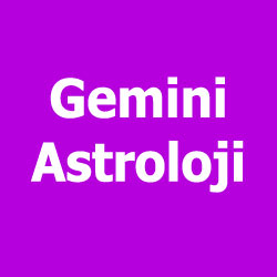 Gemini Astroloji Antalya