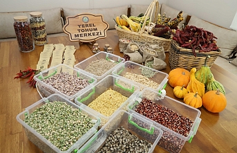 Türkiye'nin dört bir yanına yerli tohum dağıtılacak