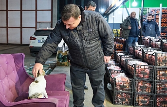Özkan Alp sokak hayvanlarını koruyacak projesini açıkladı