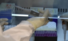 Bakanlıktan PCR genelgesi