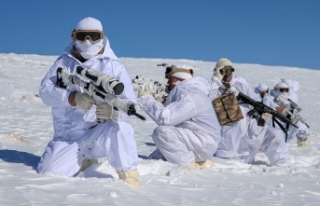 PKK'ya dondurucu darbe