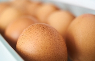 Yumurta fiyatlarında KDV indirimi