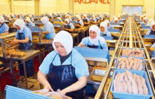 Dardanel’in fabrikasında karantina kararı
