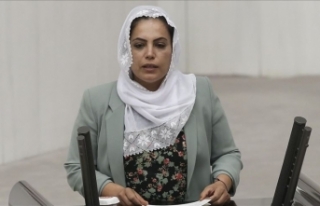 HDP Milletvekiline 10 yıl hapis cezası