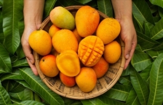 Tropikal meyve ihracatında önemli artış