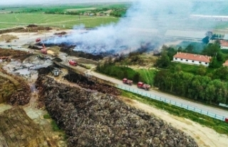 30 bin ton odun yandı