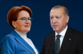 Erdoğan'dan Akşener'e tazminat davası