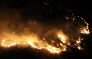 Şemdinli’de orman yangını
