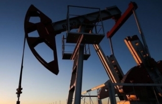 OPEC'in petrol üretimi kasımda arttı