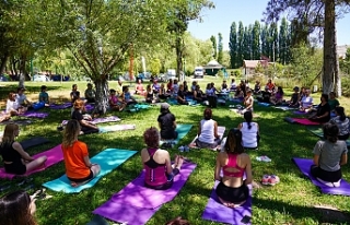 Tabiat içinde Yoga ve Sağlıklı Beslenme Kampı