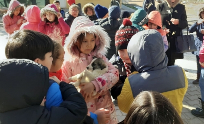 Çocuklar hayvan barınağını ziyaret etti