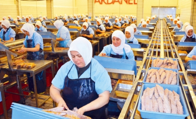 Dardanel’in fabrikasında karantina kararı