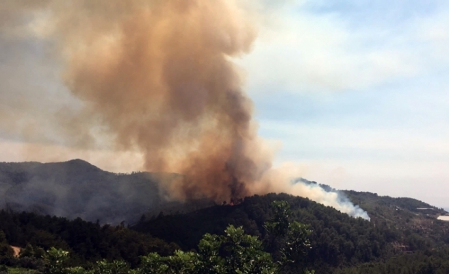 Orman yangını Alanya'ya sıçradı