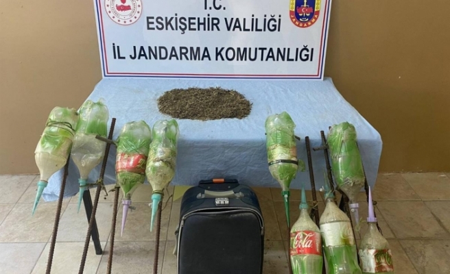 Jandarma uyuşturucu yetiştiricilerine göz açtırmadı